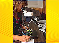 Microscope Lighting System